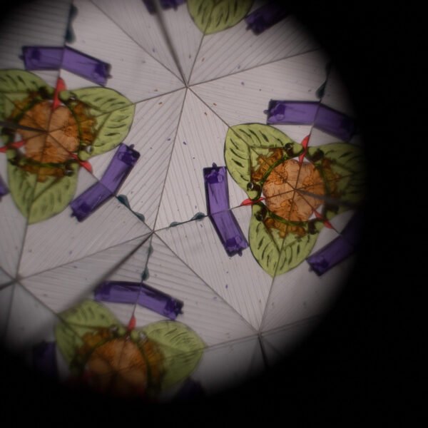 Fall Flowers Καλειδοσκόπιο με απεικόνιση pattern