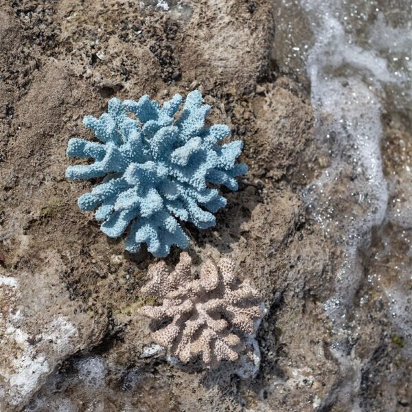 Tropisch Deco Κοράλι σε 2 χρώματα τοποθετημένα σε βράχο στη θάλασσα από 100% polyresin