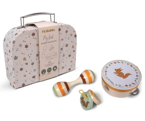 Suitcase Kit Instrument Toys