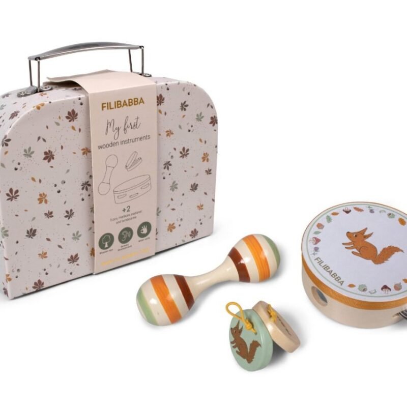 Suitcase Kit Instrument Toys